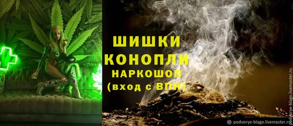 ПСИЛОЦИБИНОВЫЕ ГРИБЫ Зерноград