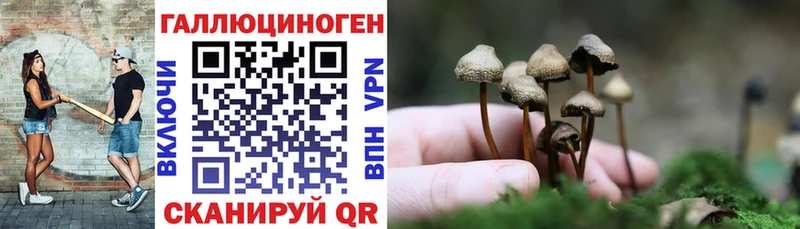 Псилоцибиновые грибы прущие грибы  Ахтубинск 